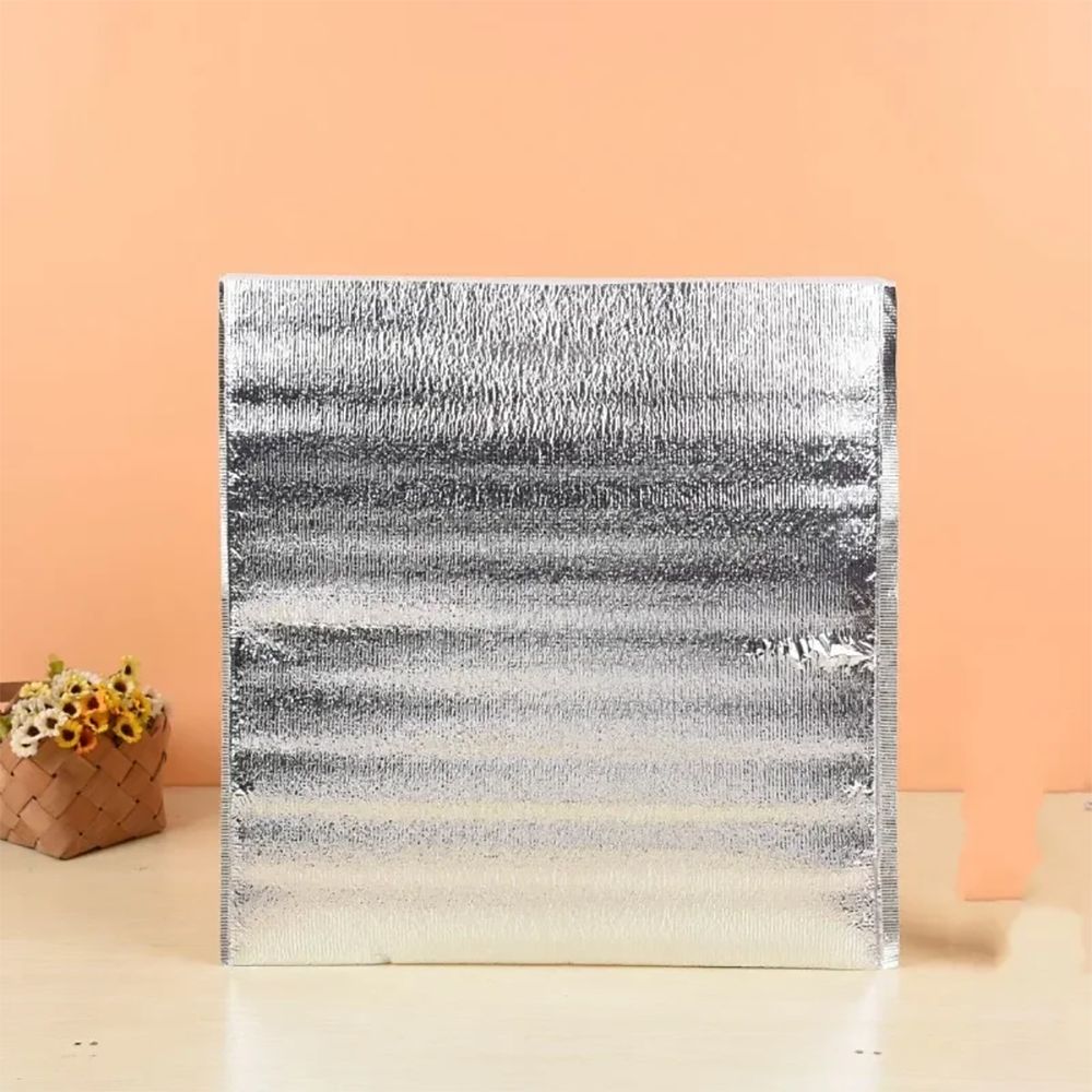 Aluminum Foil Cooler Bag Insul - Food Snacks Delivery 评论和价格