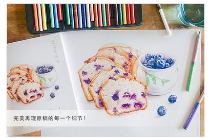 Color pencil drawing book 32 c - Food Y Snacks Coloring Book 评论和价格