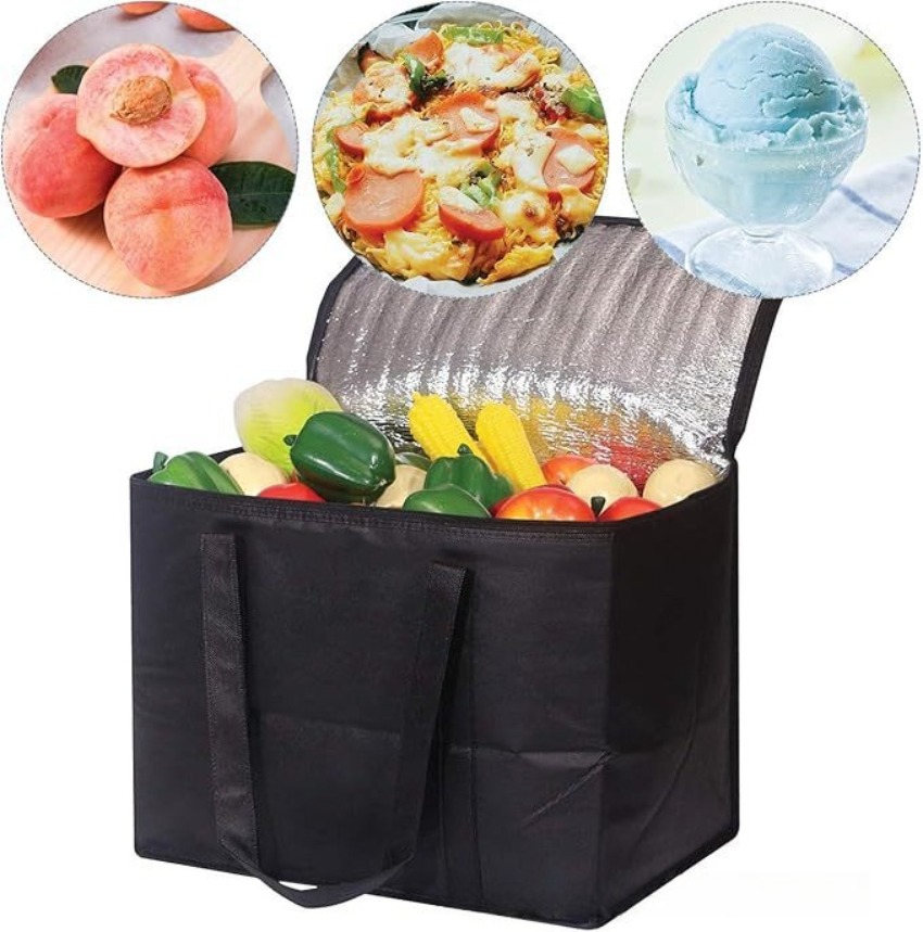 Portable Lunch Cooler Bag Fold - Food Snacks Delivery 评论和价格